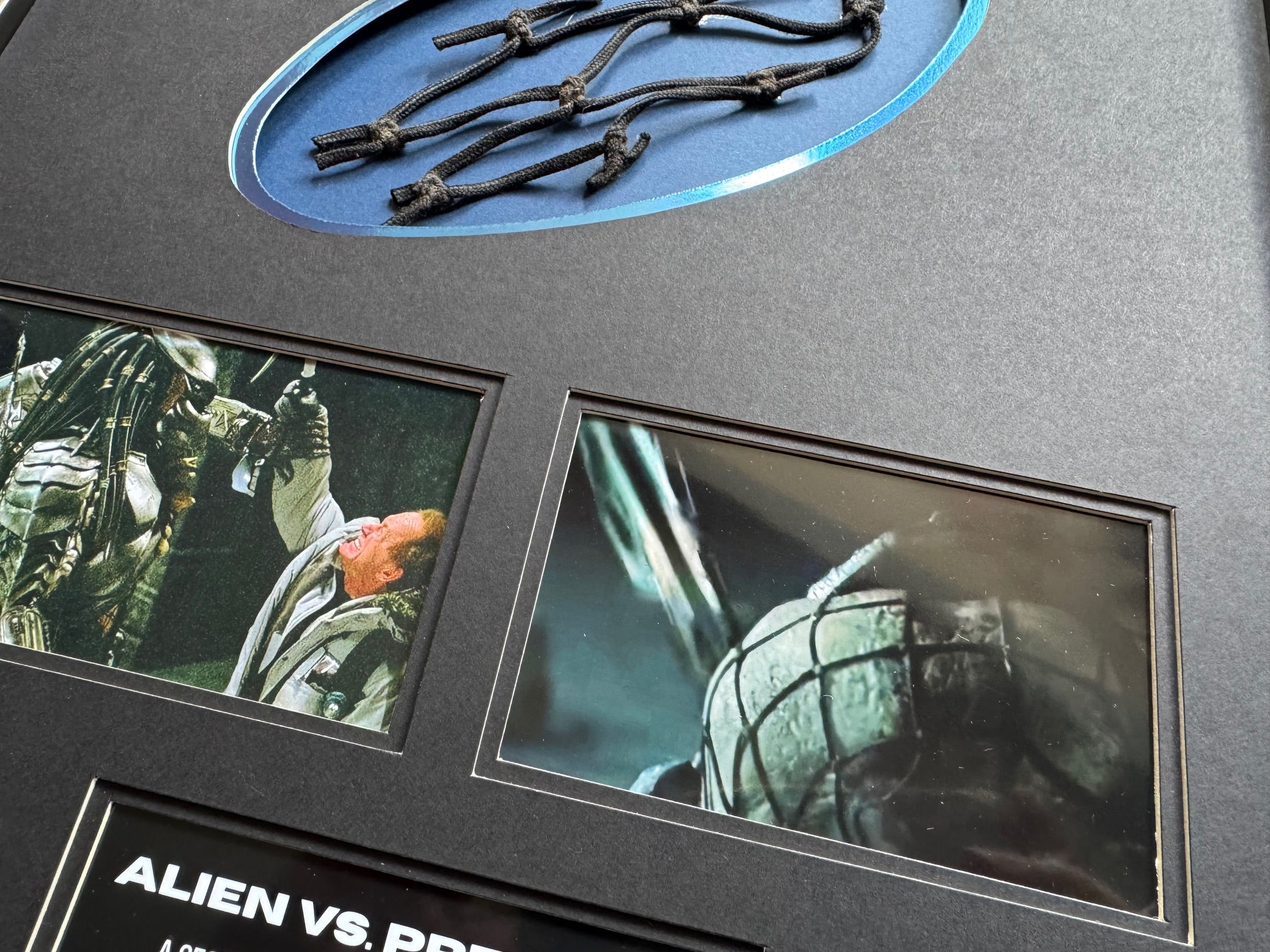 Alien vs. Predator (2004) - A Section of ‘Predator’ Webbing