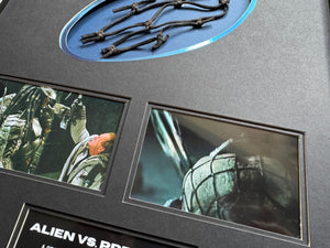 Alien vs. Predator (2004) - A Section of ‘Predator’ Webbing