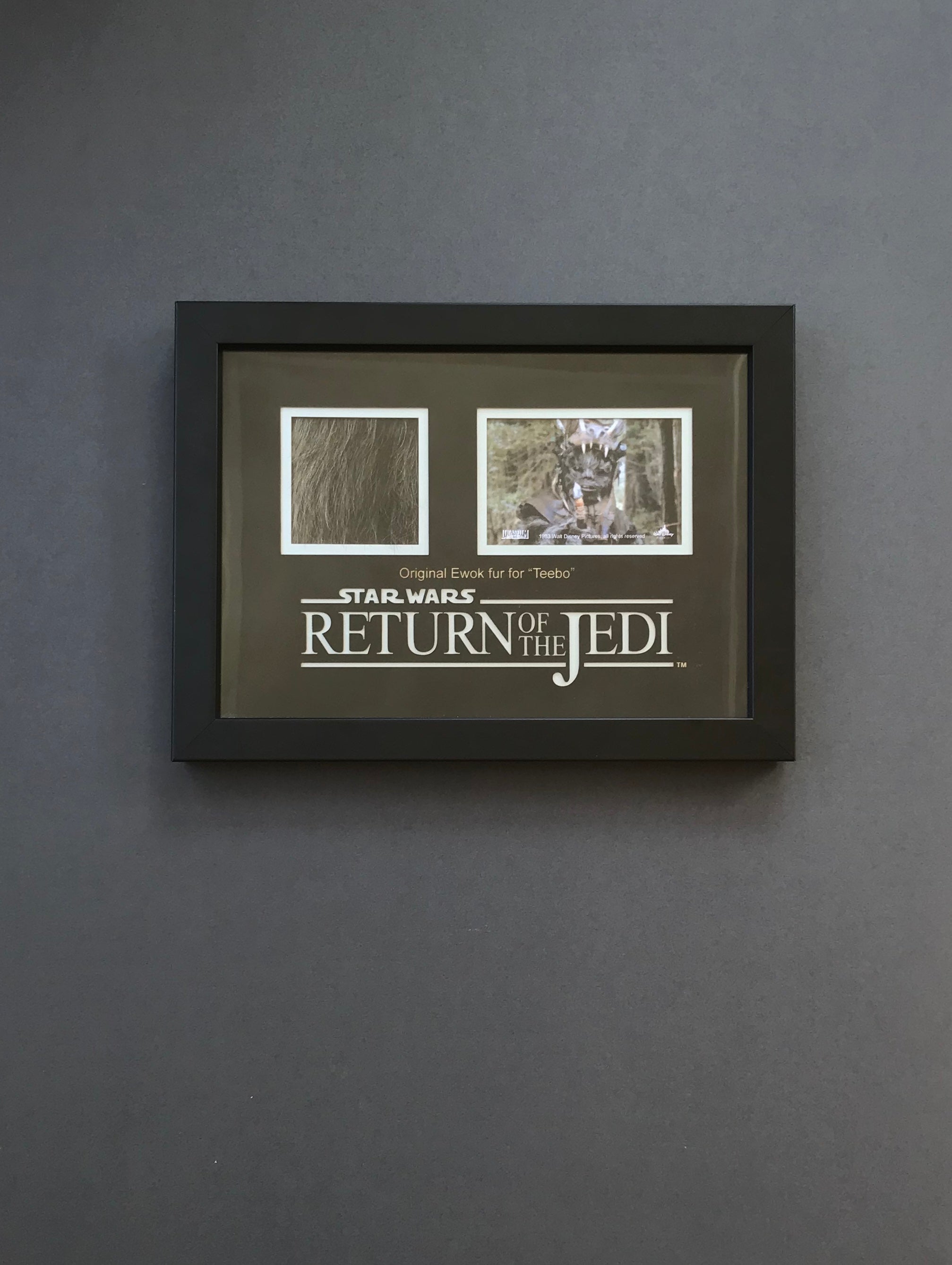 Star Wars: Return of the Jedi (1983) - A Teebo Ewok Fur Display