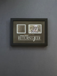 Star Wars: Return of the Jedi (1983) - A Teebo Ewok Fur Display