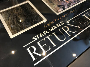Star Wars: Return of the Jedi (1983) - A Teebo Ewok Fur Display