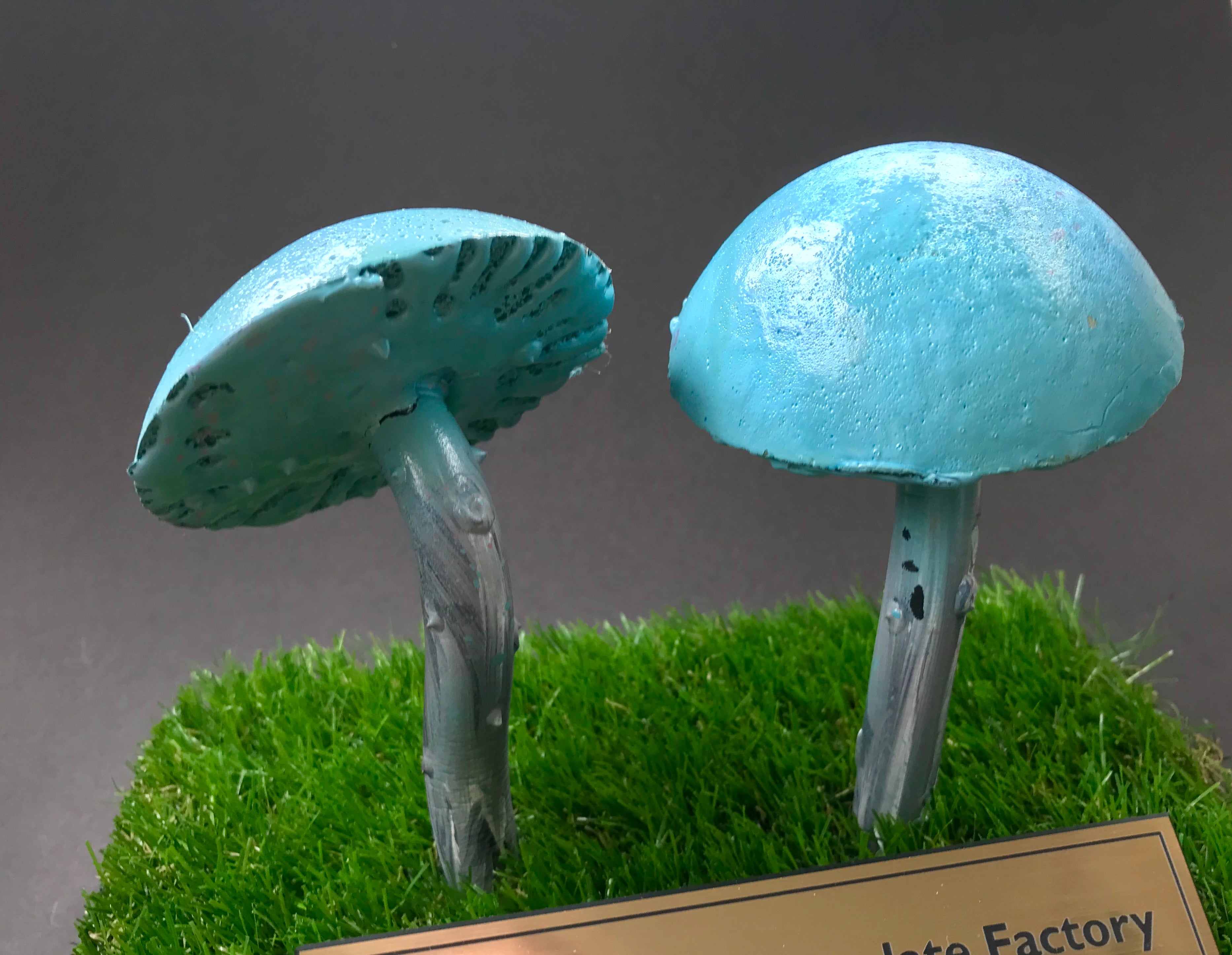 Charlie & The Chocolate Factory (2005) - Two Prop Mushrooms on a Custom Display